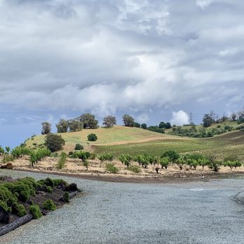 Viano Winery - Beautiful scenery - Wineries Near Me - Martinez, California Viano Winery - Beautiful scenery - Wineries Near Me - Martinez, California