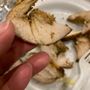 Photo of Jerk Palace Caribbean Cuisine