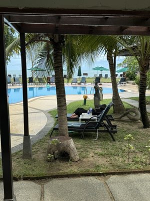 The Frangipani Langkawi Resort by null