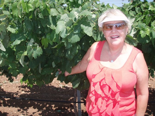 Fall Creek Vineyards - Tow by null