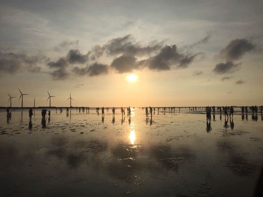 Gaomei Wetlands by null