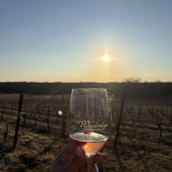 Windridge Vineyards - Wineries Near Me - Darnestown, Maryland