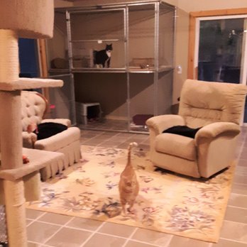Our House Pet Lodge - Pet Sitting Near Me - Richmond, Rhode Island Our House Pet Lodge - Pet Sitting Near Me - Richmond, Rhode Island