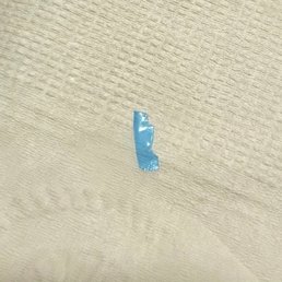 Blue plastic piece found under the cheese Blue plastic piece found under the cheese