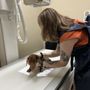 Photo of Plantation Animal Clinic