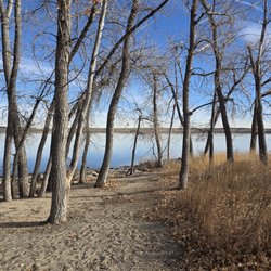 Beautiful reservoir and trees leading to the water