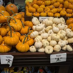 Rosauers Supermarkets - Pumpkin season!