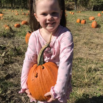Mecca Family Farms - Pumpkin Patches Near Me - Roach, Missouri