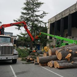 Hamilton Tree Service - Grapple Truck, the most efficient way of moving materials, forget a chipper.