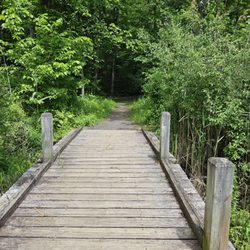 Maywood Pocket Park - Bridge/boardwalk that connects the playground with trails