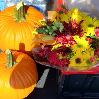 Stop & Shop - Flowers and pumpkins - Grocery Near Me - Bayside, New York Stop & Shop - Flowers and pumpkins - Grocery Near Me - Bayside, New York