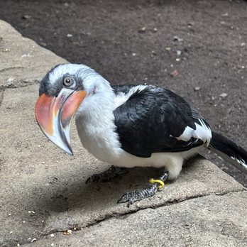 Bird Kingdom - Zoos Near Me - Niagara Falls, Ontario