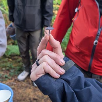 Forage Seattle - Food Tours Near Me