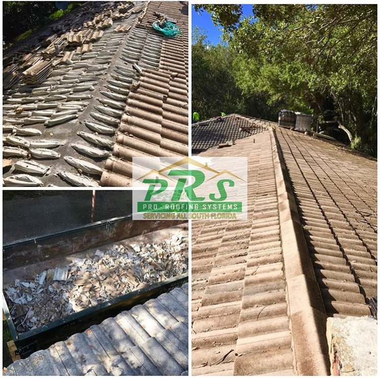 Slide of Pro-Roofing Systems