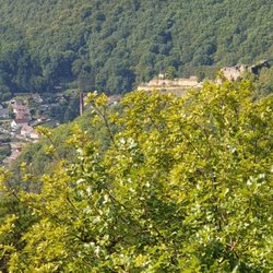 Burgruine Wolfsburg - Blick vom Bergstein auf die Burgruine Wolfsburg