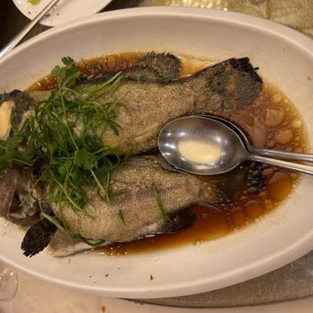 Grand Dynasty - Steamed Fresh Catch of the Day - Seafood Near Me - San Jose, California