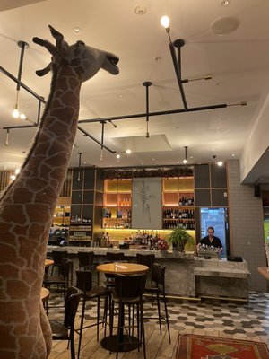 Giraffe by null