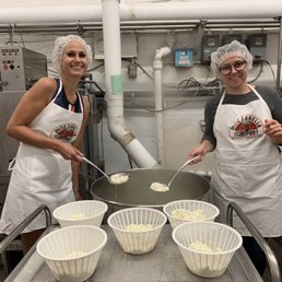 Tours where you can make cheese! Tours where you can make cheese!
