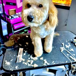 Elegant Dog Grooming Gift Greeting Cards Email, Text or Print