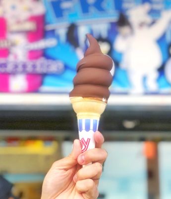 Santa Cruz Beach Boardwalk by null