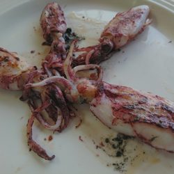 El Pozo