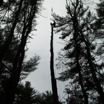 Forest Keepers Tree Care - Tree Services Near Me - Lawrence, Kansas