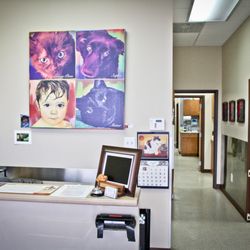 Leo's Pet Care