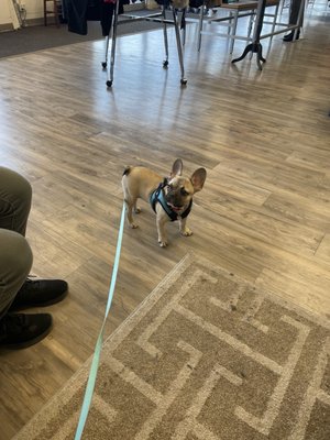 Patriot Security Team