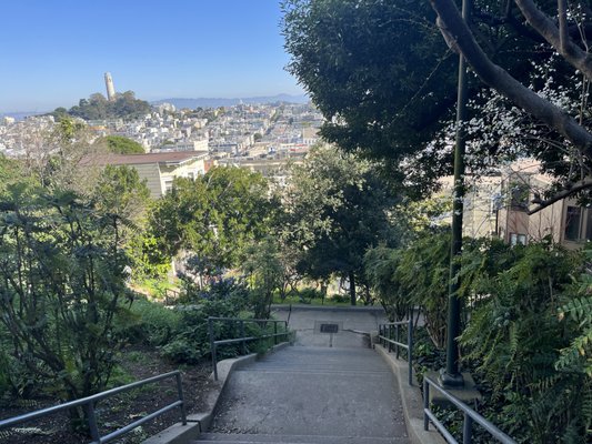 Vallejo Steps by null