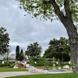 The Veranda Restaurant - View looking out of The Beverley Mansion