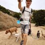 Photo of BORK!  Pack Dog Walking