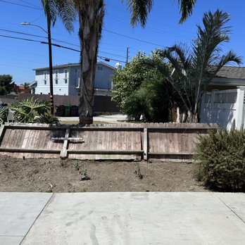PRG Tree Care - After (fence fell because it was tied to the tree, not workers fault) - Tree Services Near Me
