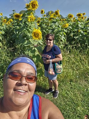 County Line Orchard by null
