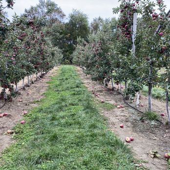Johnson's Locust Hall Farm - Attraction Farms Near Me - Jobstown, New Jersey