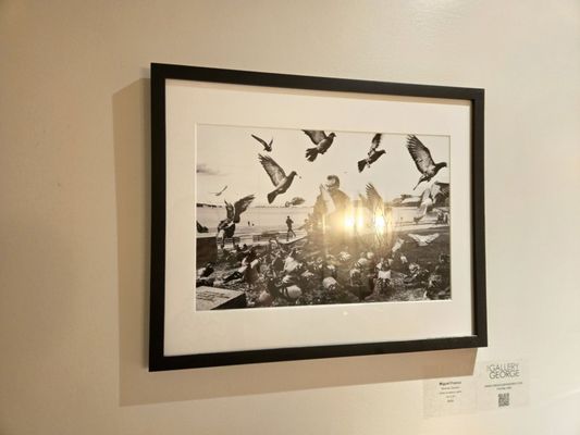 Fable Kitchen by null