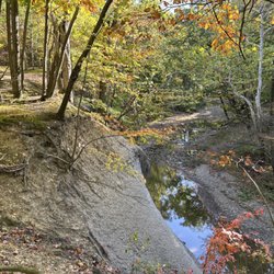 West Creek Reservation - Oak Ridge Scenic Area