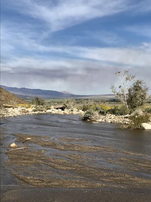 Borrego Palm Canyon Nature Trail by null
