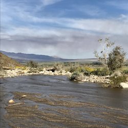 Borrego Palm Canyon Trail - Crossing the creek