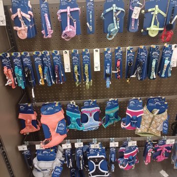 Petco - Kitty harnesses - Pet Training Near Me - Daphne, Alabama Petco - Kitty harnesses - Pet Training Near Me - Daphne, Alabama