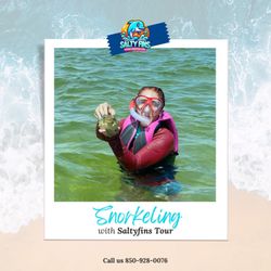 Salty Fins dolphin & snorkeling tours