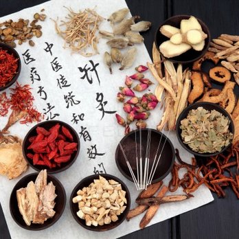 Tranquil Paws Veterinary -Acupuncture, Herbal, Laser - Acupuncture and Chinese Herbal Medicine - Holistic Animal Care Near Me - New York, New York Tranquil Paws Veterinary -Acupuncture, Herbal, Laser - Acupuncture and Chinese Herbal Medicine - Holistic Animal Care Near Me - New York, New York