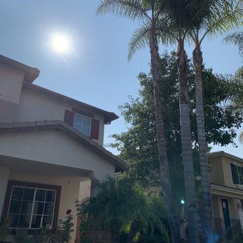 ArborCare Tree Care - Tree Services Near Me ArborCare Tree Care - Tree Services Near Me