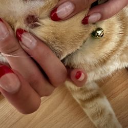 Petsense - :(