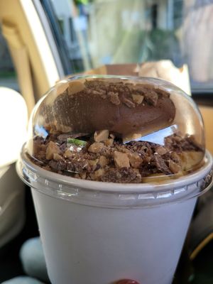 The Scoop N Scootery by null