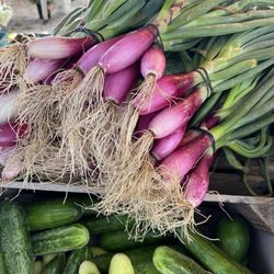 West Tisbury Farmer's Market - Freshly harvested
