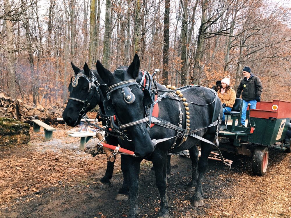 AKRON ACRES 80 Photos & 14 Reviews 12607 Stage Rd, Akron, NY Yelp