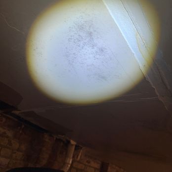 Soflo Mold Specialist - Damage Restoration Near Me - Oakland Park, Florida Soflo Mold Specialist - Damage Restoration Near Me - Oakland Park, Florida