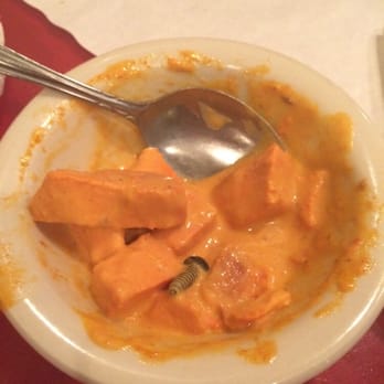 Our Place - Screw in the butter chicken. Disgusting and ridiculous. - Indian Near Me - Irving, Texas