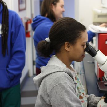 Union Veterinary Clinic - Aaron and Pedro, two of our highly skilled nurses, analyze labwork. - Veterinarians Near Me - Washington, DC, District of Columbia