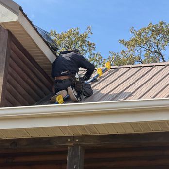 Network Pest Control - Getting rid of squirrels. - Pest Control Near Me - Rogers, Arkansas Network Pest Control - Getting rid of squirrels. - Pest Control Near Me - Rogers, Arkansas